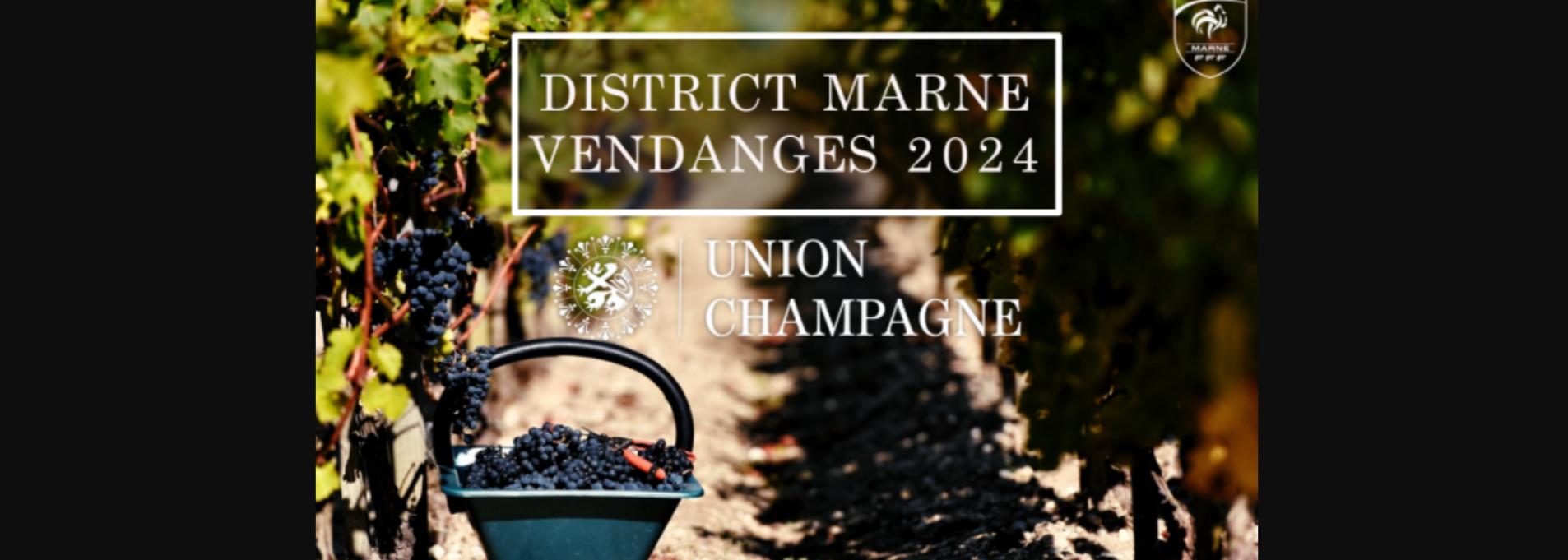  district marne football vendanges union champagne credit agricole nord est