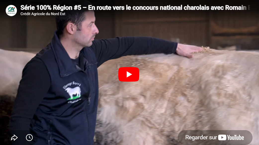 En route vers le concours national charolais
