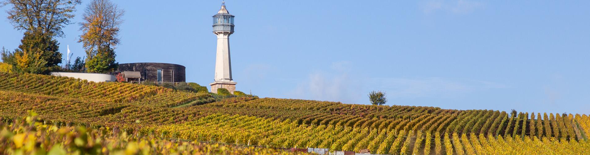 7e edition du festival vignart en champagne 9e4eea66