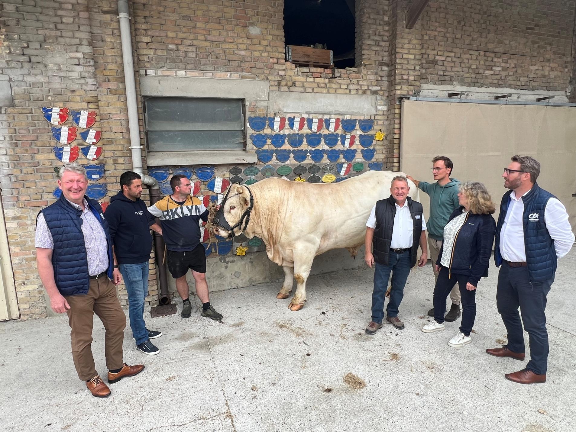 du 11 au 13 septembre la foire de sedan 2026 accueille le national et leuropeen charolais caed1872