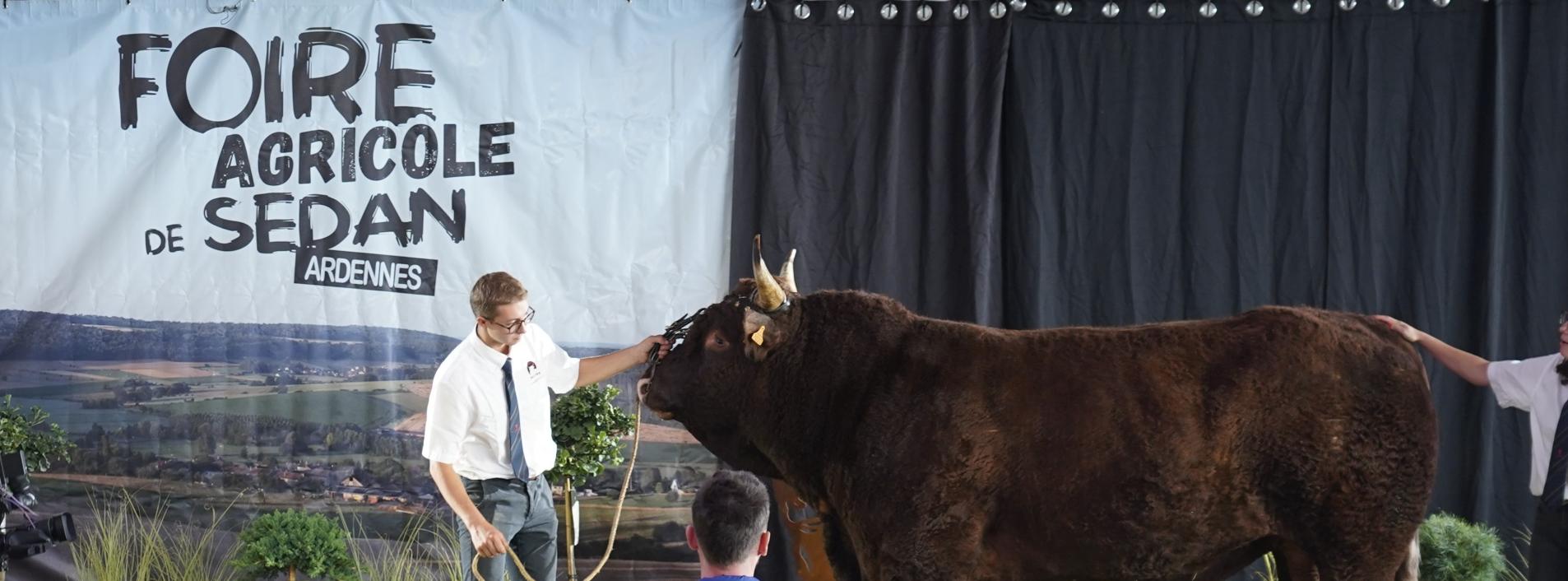 foire agricole de sedan 2026 une edition record sous le signe de lexcellence de lelevage e8e9ccb1