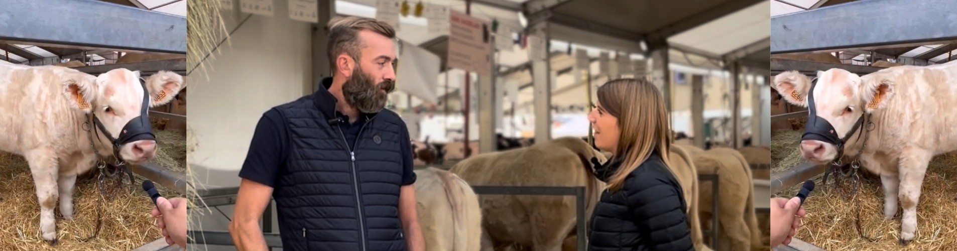 rencontre avec un eleveur a la foire de sedan 37865b0b